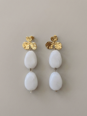 B.O Orchidée Blanc